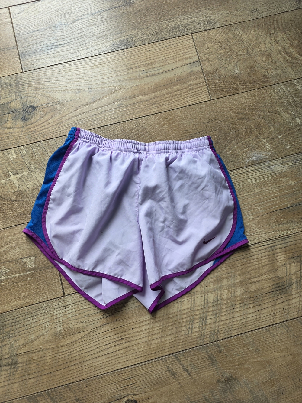 Nike Light Purple Shorts with Blue Side Panels and Pink Trim